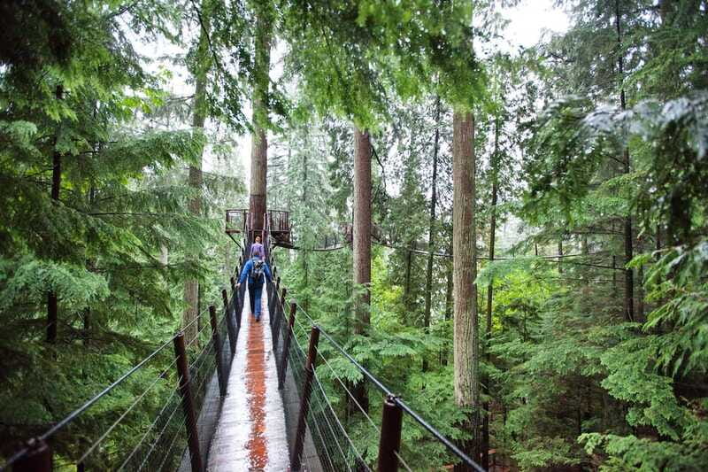 Small group tour of Capilano Bridge & Grouse Mountain - How to prepare for a smoother outing