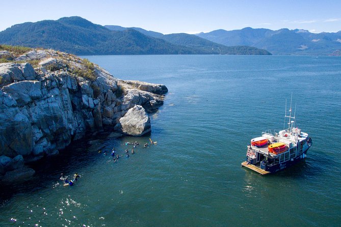 Snorkel, Kayak, and Seal Adventure: Vancouver Boat Tour - Meeting the harbor seals at Pam Rocks