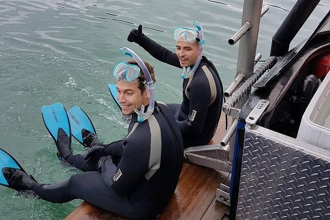 Snorkel, Kayak, and Seal Adventure: Vancouver Boat Tour - Warm soup after cold-water activity