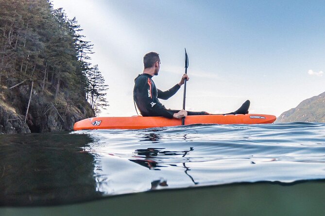 Snorkel, Kayak, and Seal Adventure: Vancouver Boat Tour - Who will enjoy this seal tour most