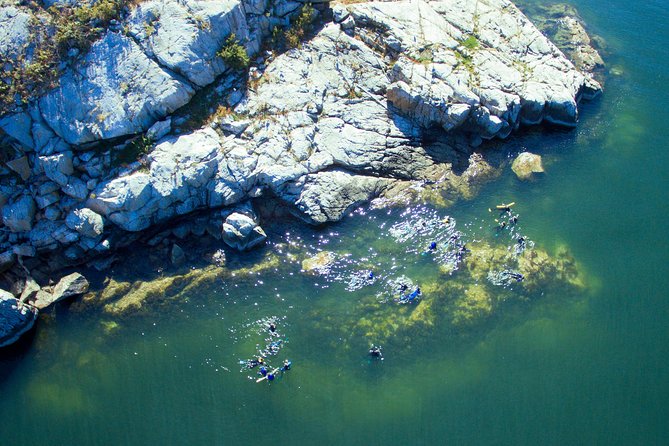 Snorkel, Kayak, and Seal Adventure: Vancouver Boat Tour - Getting into the water in a wetsuit