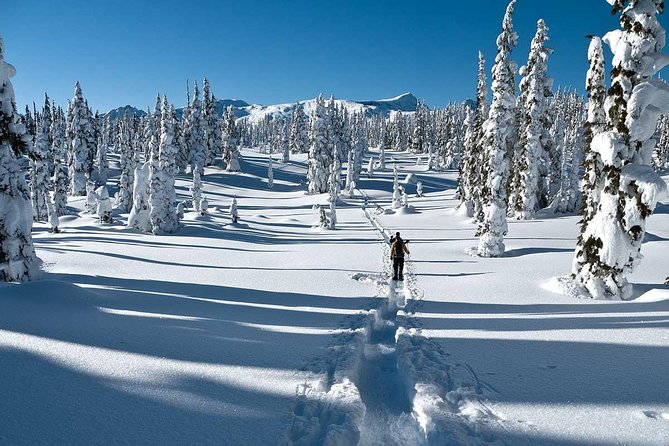 Snowshoe Through Vancouver's Winter Wonderland - Key points to know before you book