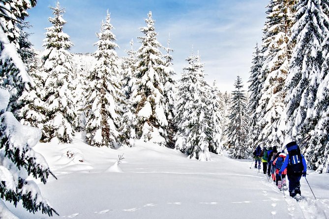Snowshoe Through Vancouver's Winter Wonderland - Getting fitted for snowshoes and winter gear