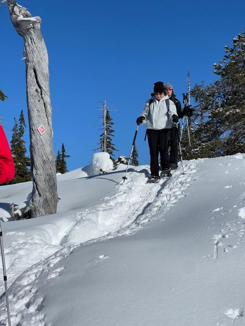 Snowshoeing At The Top Of The Sea To Sky Gondola - The return to Vancouver