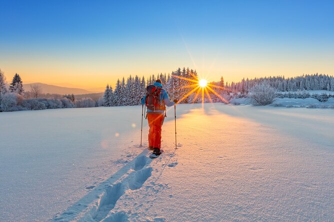 Snowshoeing At The Top Of The Sea To Sky Gondola - From Vancouver to the Sea to Sky Gondola
