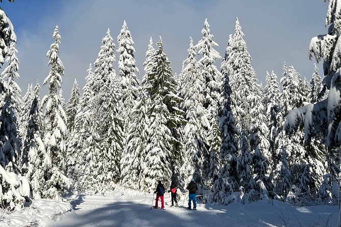 Snowshoeing At The Top Of The Sea To Sky Gondola - Snowshoeing through the winter trails