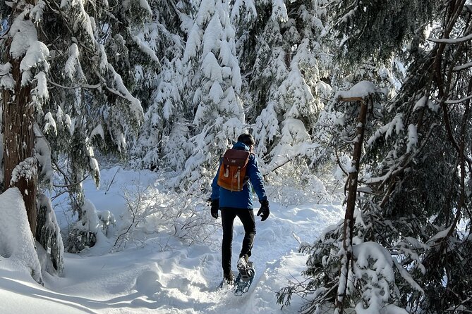 Snowshoeing At The Top Of The Sea To Sky Gondola - Who should book this winter outing