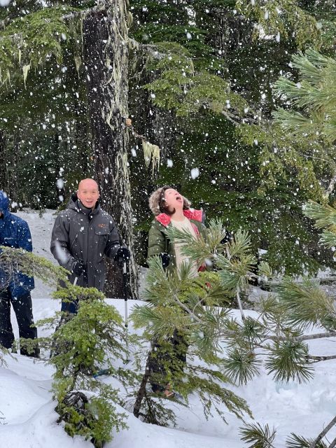 Snowshoeing At The Top Of The Sea To Sky Gondola - Practical preparation for a rain-or-shine day