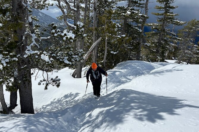 Snowshoeing At The Top Of The Sea To Sky Gondola - Reaching the summit by gondola