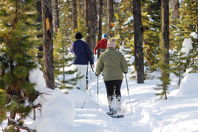 Snowshoeing In Vancouver's Winter Wonderland - What the small group changes