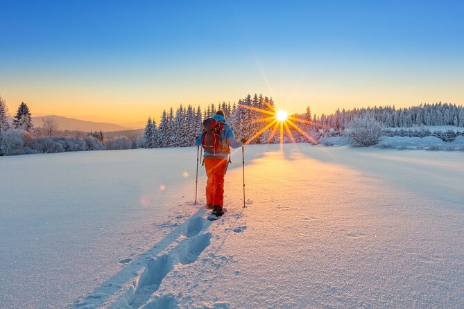 Snowshoeing In Vancouver's Winter Wonderland - What is included for $119.72