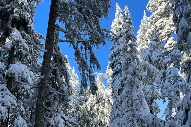 Snowshoeing In Vancouver's Winter Wonderland - How the route feels in practice
