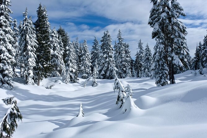 Snowshoeing In Vancouver's Winter Wonderland - Who will enjoy this outing most