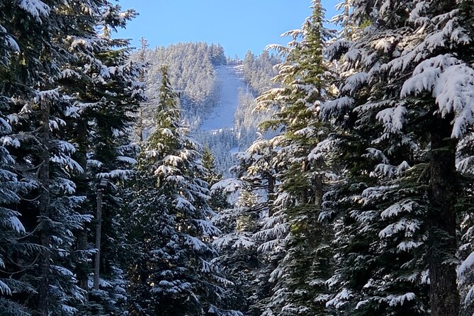 Snowshoeing In Vancouver's Winter Wonderland - Timing, booking, and weather