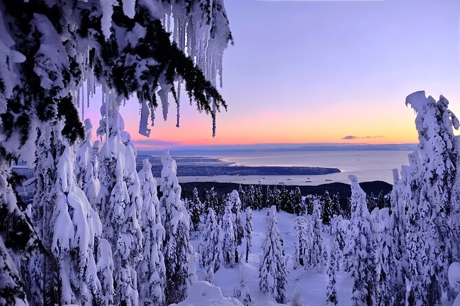 Snowshoeing In Vancouver's Winter Wonderland - Cypress Provincial Park and the snowshoe trails