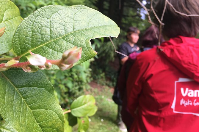 Spoken Treasures: Stanley Park Indigenous Walking Tour - Learning About Trees, Ceremony, and Daily Life