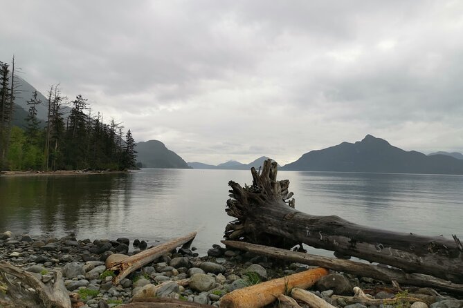Squamish Howe Sound Explorer Private Tour - A quieter finish at the Capilano Salmon Hatchery