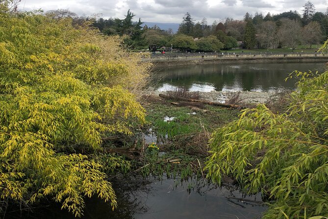 Stanley Park Bike Adventure with Lux Car Pick Up Affordable Easy - What the Price Means at $6.50