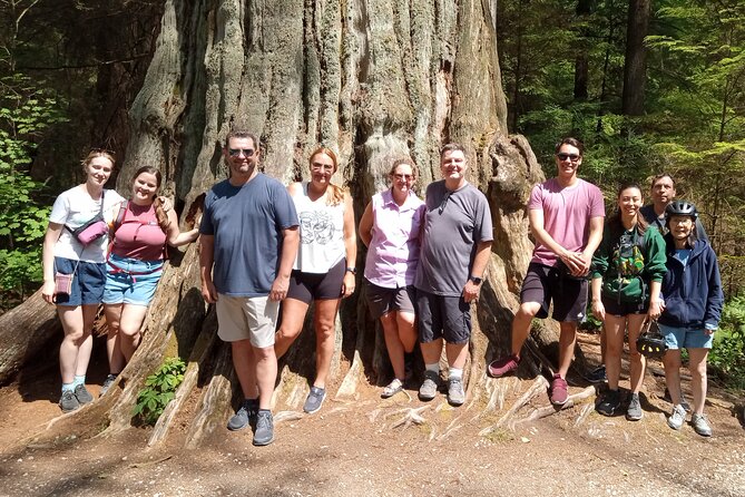 Stanley Park Highlights 2.5 Hour Walking Tour - Forest trails show the park beyond the postcard