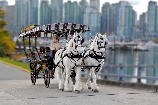 Stanley Park Horse Drawn Tour in Vancouver - Starting beside Coal Harbour and the downtown core