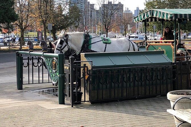 Stanley Park Horse Drawn Tour in Vancouver - Why the horses are part of the experience