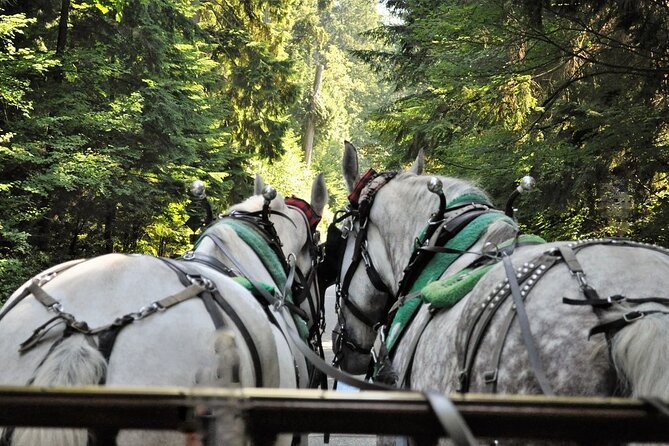 Stanley Park Horse Drawn Tour in Vancouver - The slow ride along Park Drive