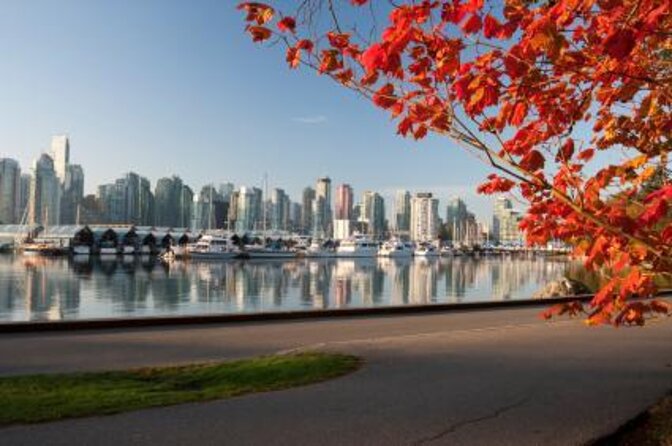Talking Trees: Stanley Park Indigenous Walking Tour Led by a First Nations Guide - Key points to know before you book