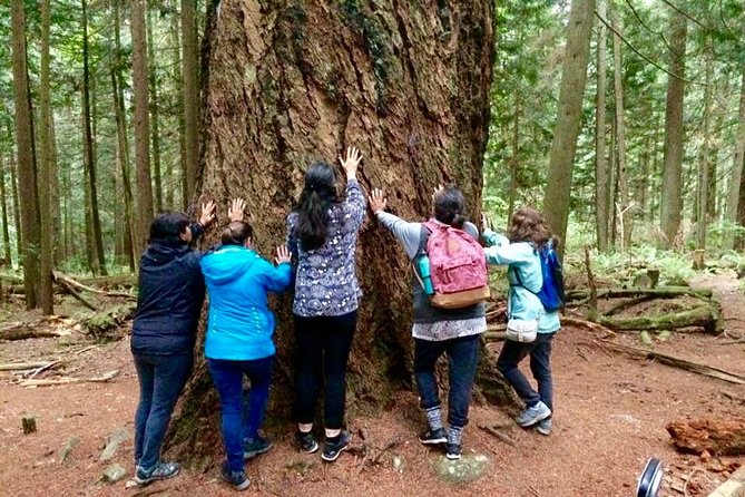 Talking Trees: Stanley Park Indigenous Walking Tour Led by a First Nations Guide - Returning through Stanley Park