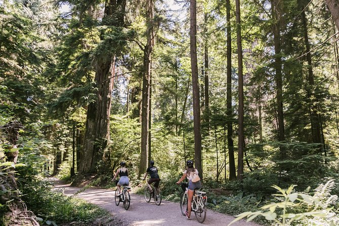 The Stanley Park Bicycle Tour by Cycle City Tours - Forest trails and the feel of a temperate rainforest
