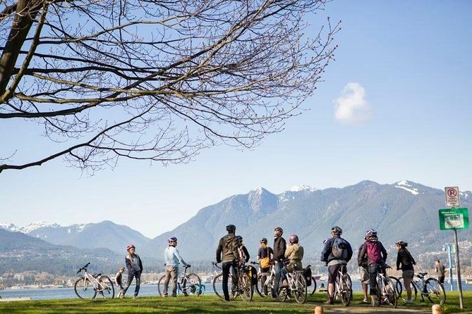 The Stanley Park Bicycle Tour by Cycle City Tours - The seawall, skyline, and mountain views