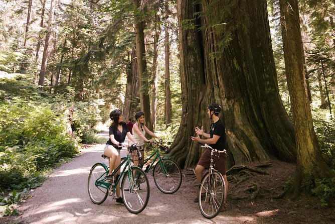 The Stanley Park Bicycle Tour by Cycle City Tours - What the $81.35 price includes