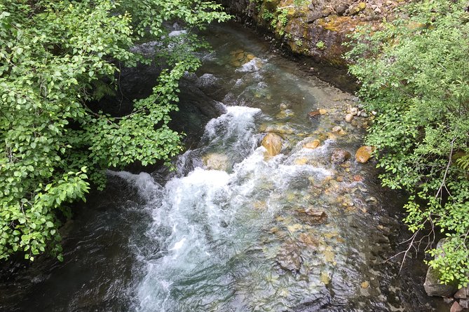 Unforgettable Whistler ( Full Day Private Tour) - Weather, clothing, and physical effort