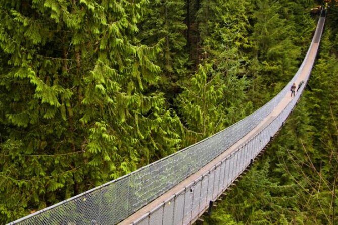 Vancouver 1-Day city tour - The guide and language question matters
