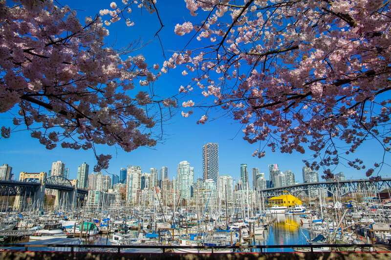 Vancouver: 24 or 48-Hour Hop-On Hop-Off Trolley Tour Pass - Stanley Park, the tour’s best stretch