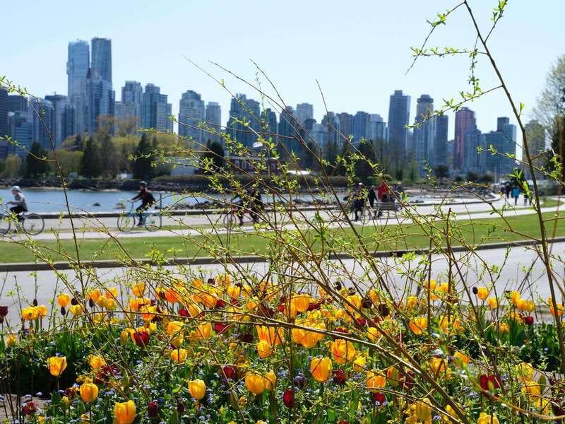 Vancouver: 24 or 48-Hour Hop-On Hop-Off Trolley Tour Pass - Downtown districts, shopping, and the arts