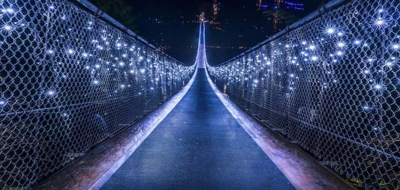 Vancouver: Attractions by Twilight Guided Tour with Dinner - Crossing Capilano Suspension Bridge