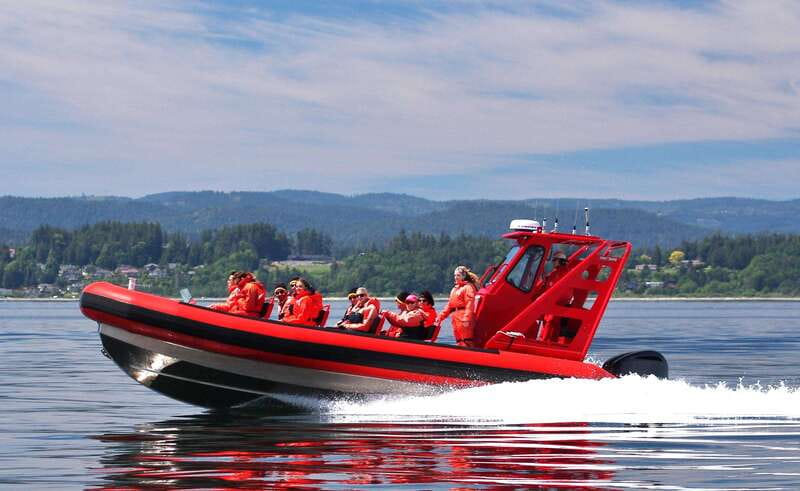 Vancouver, BC: Whale Watching Tour Small Zodiac with Guide - Setting Out From Richmond in a Small Zodiac
