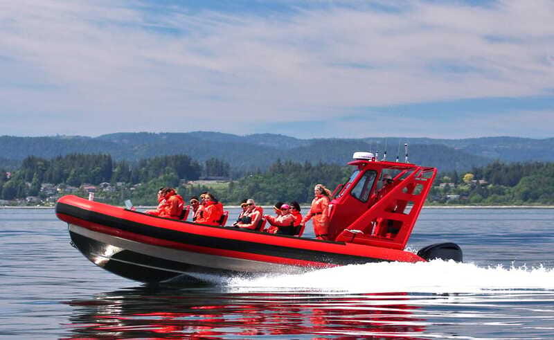 Vancouver, BC: Whale Watching Tour Small Zodiac with Guide - Clothing and Packing for a Wet, Windy Ride