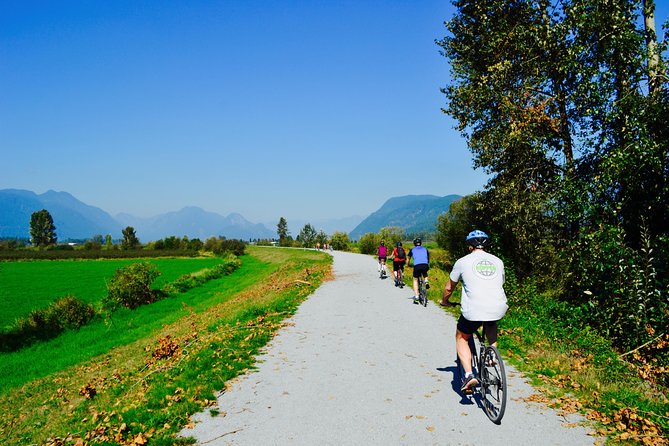 Vancouver Biking and Hiking Tour including Lunch - Why this tour works as a Vancouver day out