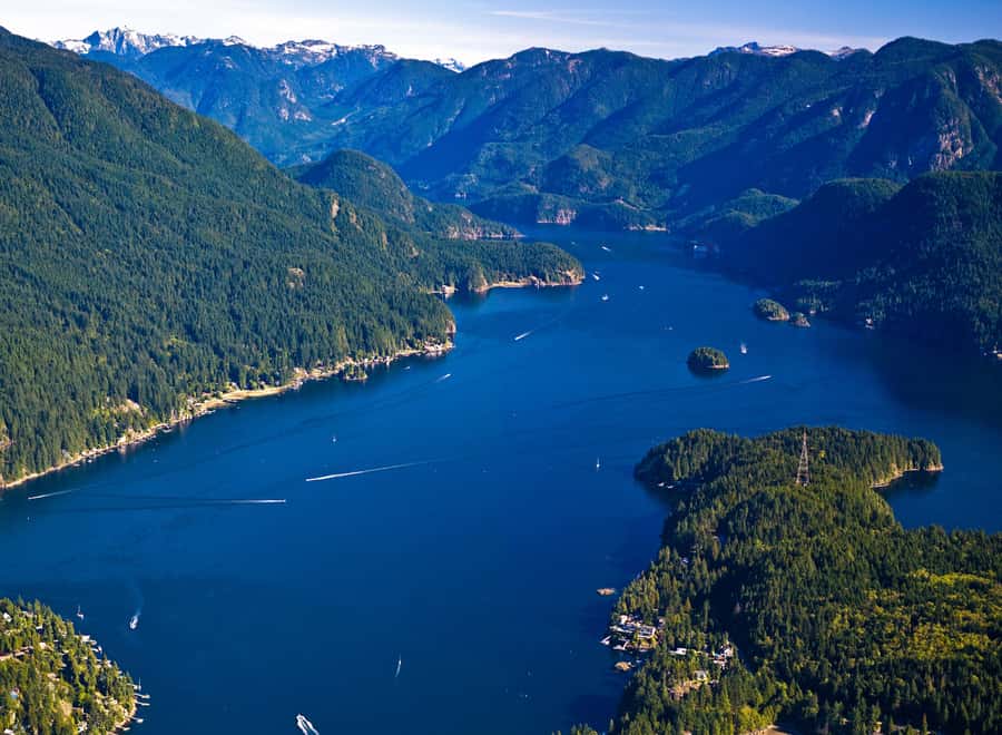 Vancouver Brunch Cruise - Key points to know before you book