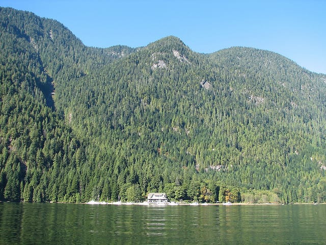 Vancouver Brunch Cruise - Practical details for a smooth departure