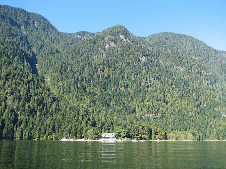 Vancouver Brunch Cruise - A buffet brunch with a view