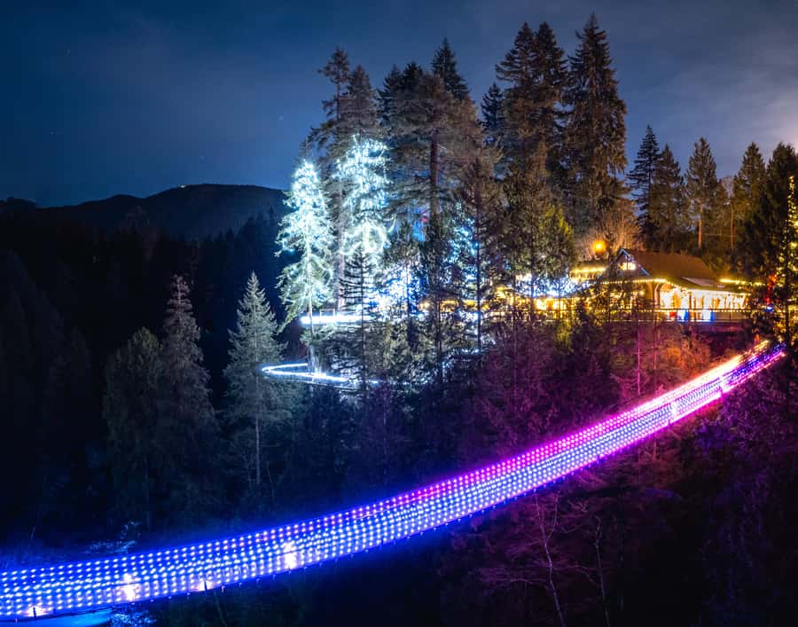 Vancouver: Capilano Bridge, Cleveland Dam & Lynn Canyon Tour - Key points to know before you book