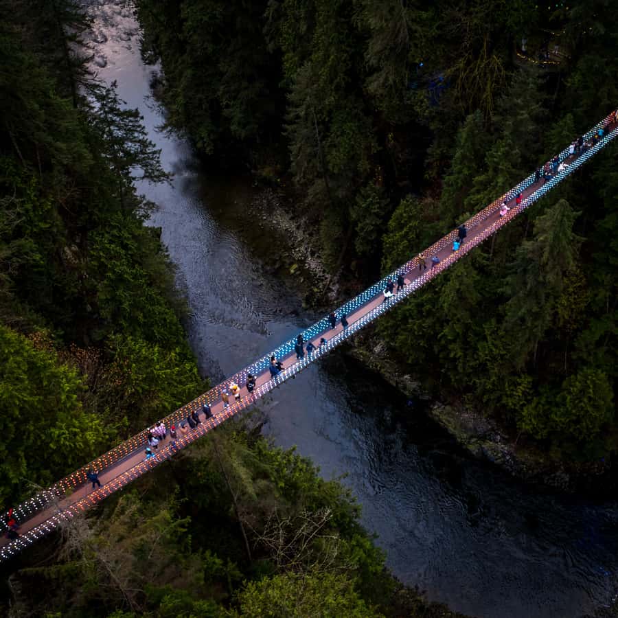 Vancouver: Capilano Bridge, Cleveland Dam & Lynn Canyon Tour - Why this North Shore route works so well