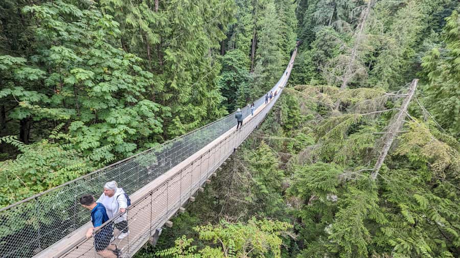 Vancouver: Capilano Bridge, Cleveland Dam & Lynn Canyon Tour - Capilano Suspension Bridge brings the biggest thrill