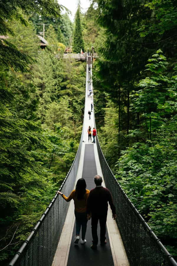 Vancouver: Capilano Bridge, Cleveland Dam & Lynn Canyon Tour - Capilano rainforest and Cleveland Dam show two sides of the water system