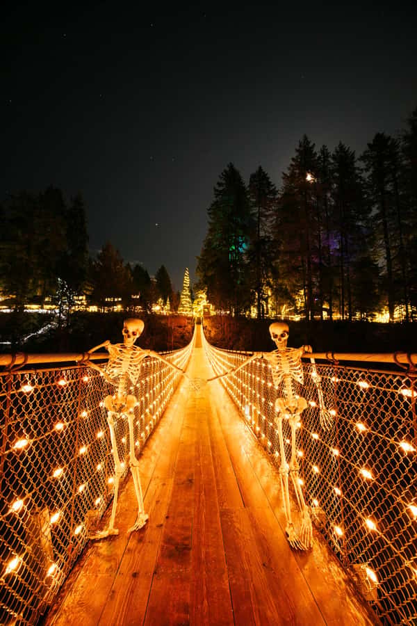 Vancouver: Capilano Bridge, Cleveland Dam & Lynn Canyon Tour - Practical advice for a smoother day