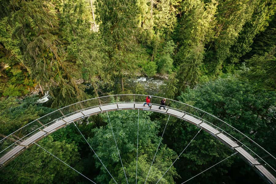 Vancouver: Capilano Bridge, Cleveland Dam & Lynn Canyon Tour - Lynn Canyon starts the day with a quieter forest walk