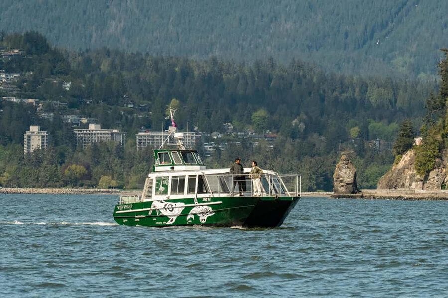 Vancouver: Catamaran Whale Watching Tour, Granville Island - Key points to know before booking