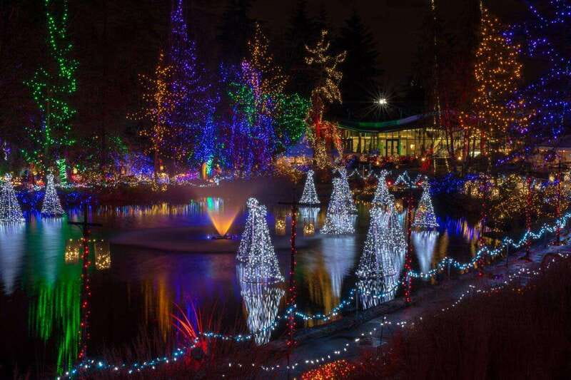 Vancouver Christmas Lights Karaoke Trolley Tour - How the guides shape the evening